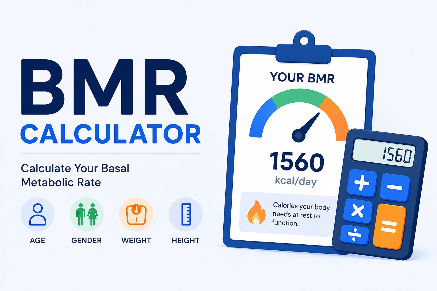 BMR Calculator